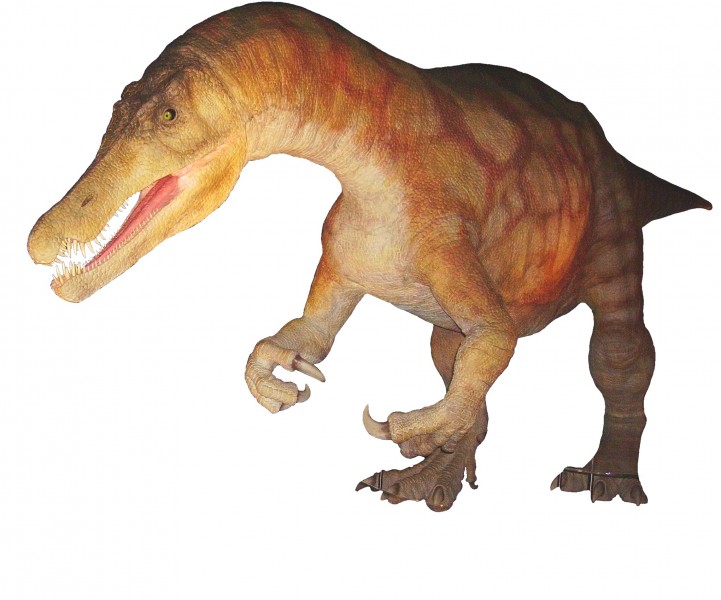 Baryonyx Animatronics model 1 NHM white background