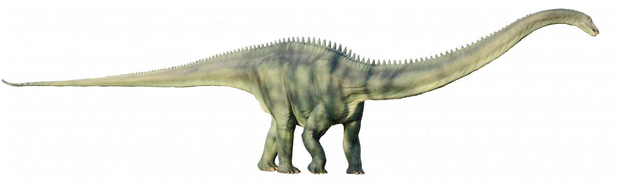 Basel - Bruderholz Dinosaurier1 white background