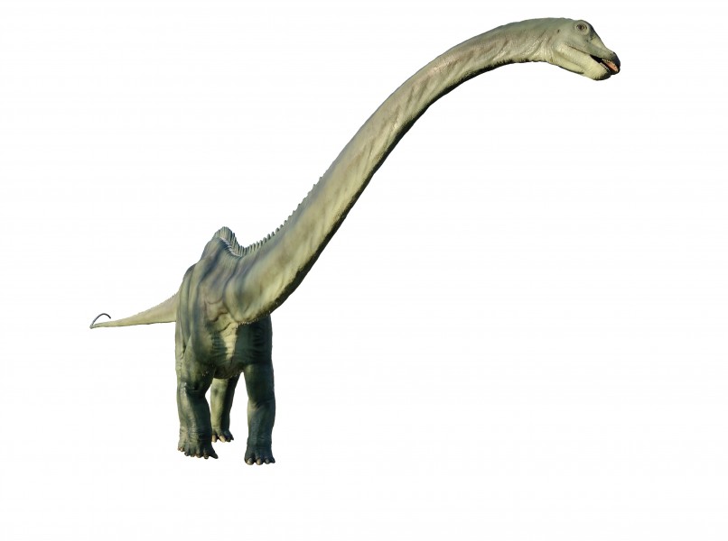 Basel - Bruderholz Dinosaurier3 white background