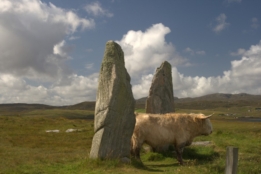 Callanish II rockdetail