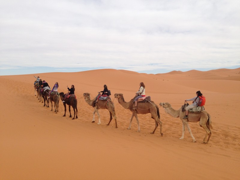 Camellos en el desierto de Marruecos