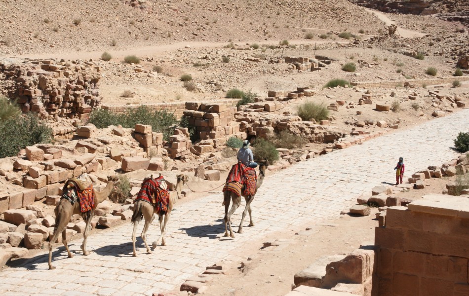 Cardo maximus, Petra, Jordan1
