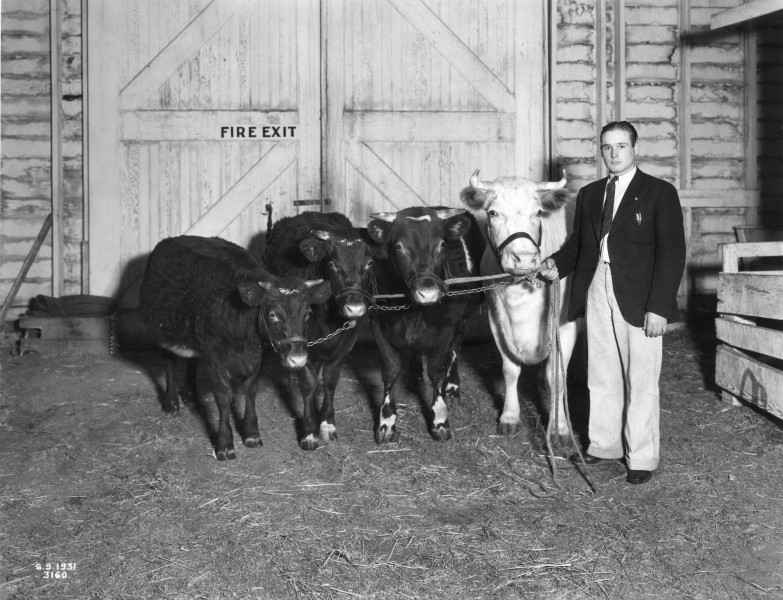 Cliff Conrad with Champion herd (5857853987)