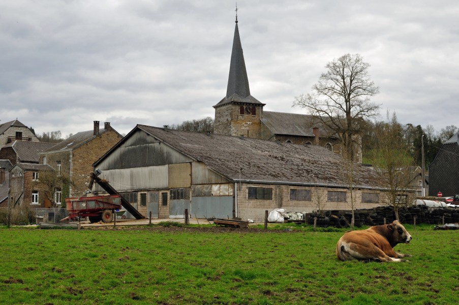 Comblain Fairon centre of the village with a cow