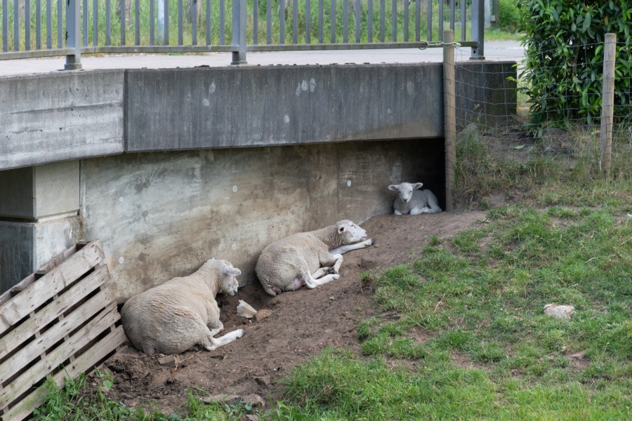 Dülmen, Hausdülmen, Brücke am Kettbach -- 2018 -- 0033