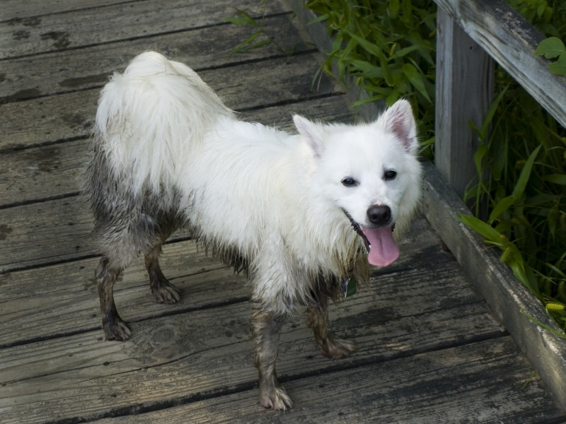 Dirty and Happy (2630128910)