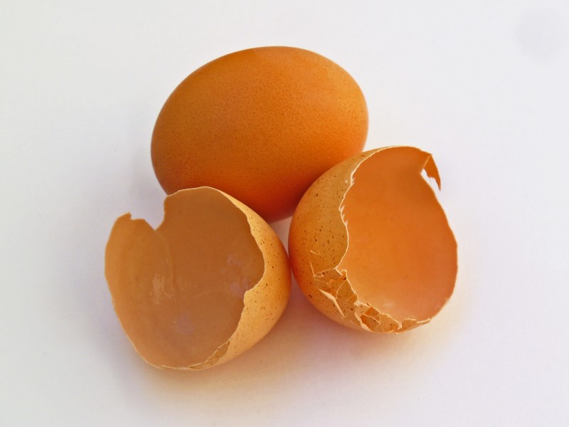 Eggshell 001