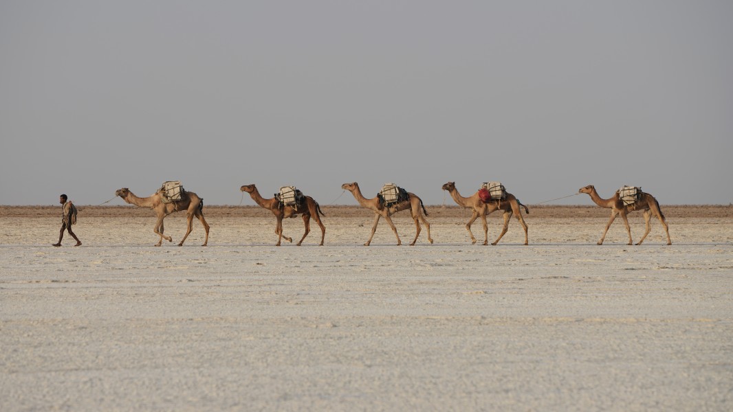 ET Afar asv2018-01 img05 Lake Karum area