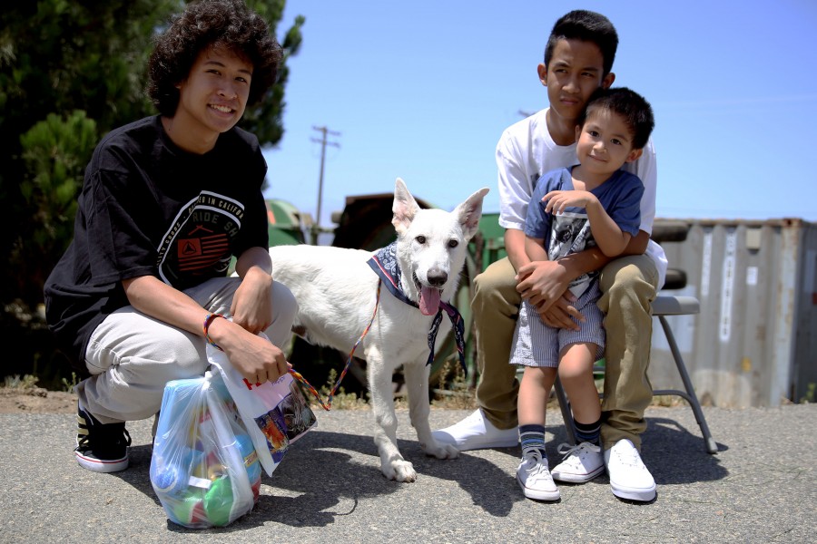 Families find new furry friends at adoption event 140726-M-DN141-006