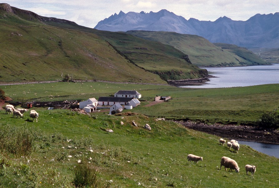 Farm Landscape, Loch Harport, Isle of Skye, (summer 2000) - panoramio