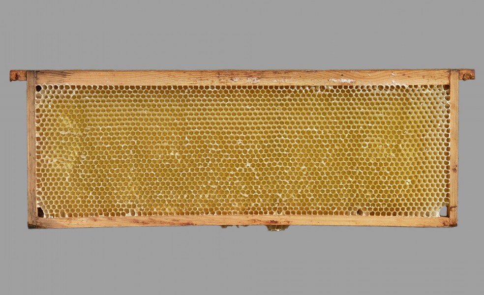Frame from a hive J1