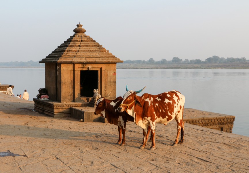 Ghats of Maheshwar 01