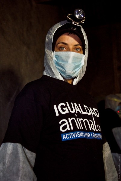 Igualdad Animal - Res Abierto Galinas - 2010-09-27 - DSF9614 (6992333472)