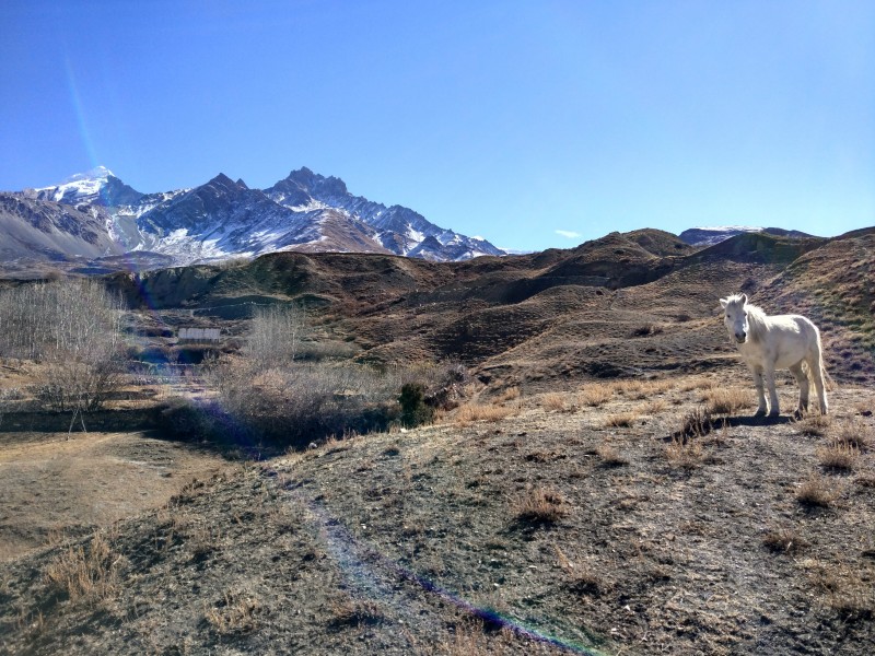 IMG 20171214 122158 HDR