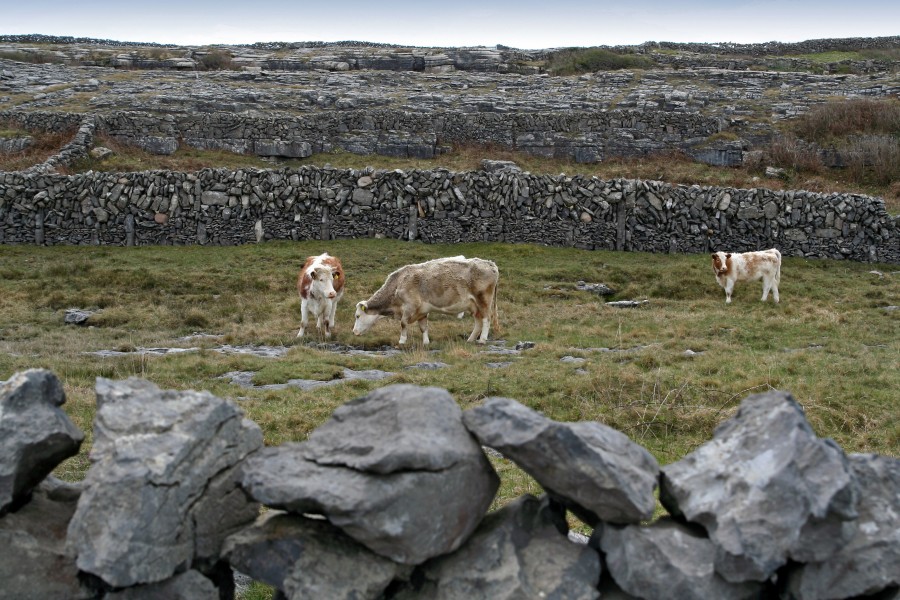 Inishmore - 016