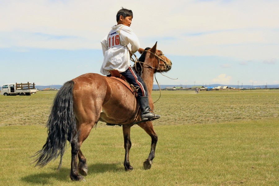 Młody jeździec na stepie na lokalnym festiwalu Naadam (04)