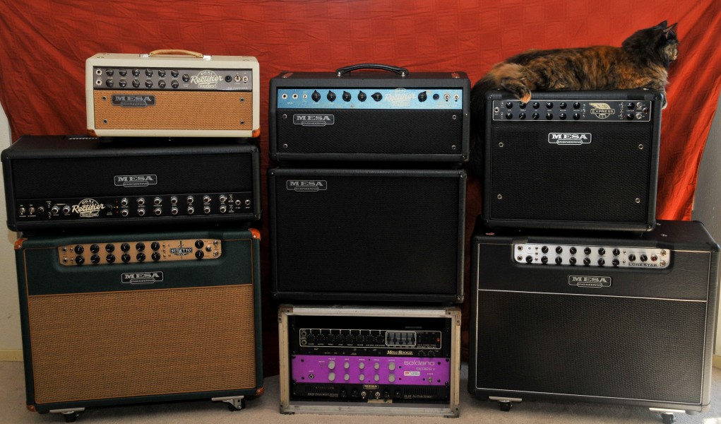 Mesa Boogie Amp Collection (and Ginger, my cat) (2834153817)