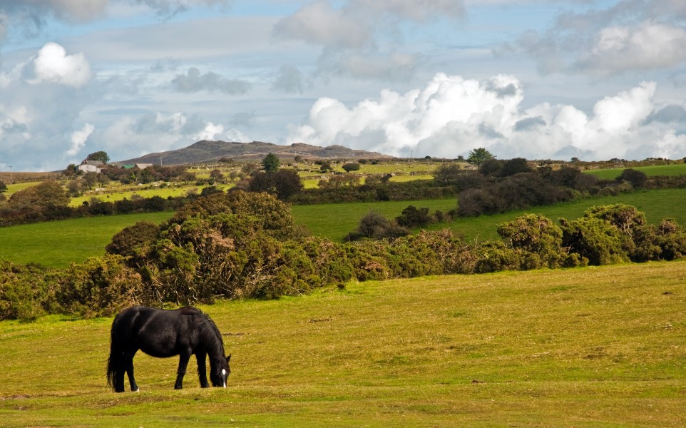 Near Blisland, Cornwall, England, 30 Sept. 2010 - Flickr - PhillipC (1)