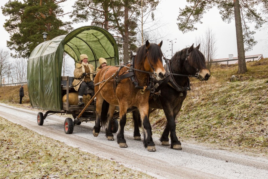 Nordsvenska brukshästar på Hedemora gammelgård