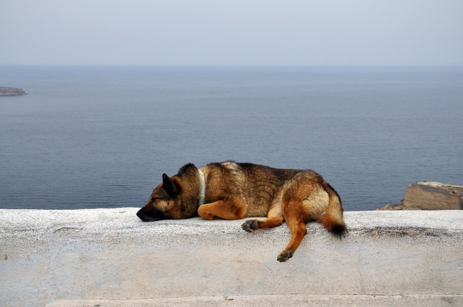 Oia in Santorini, Greece 001