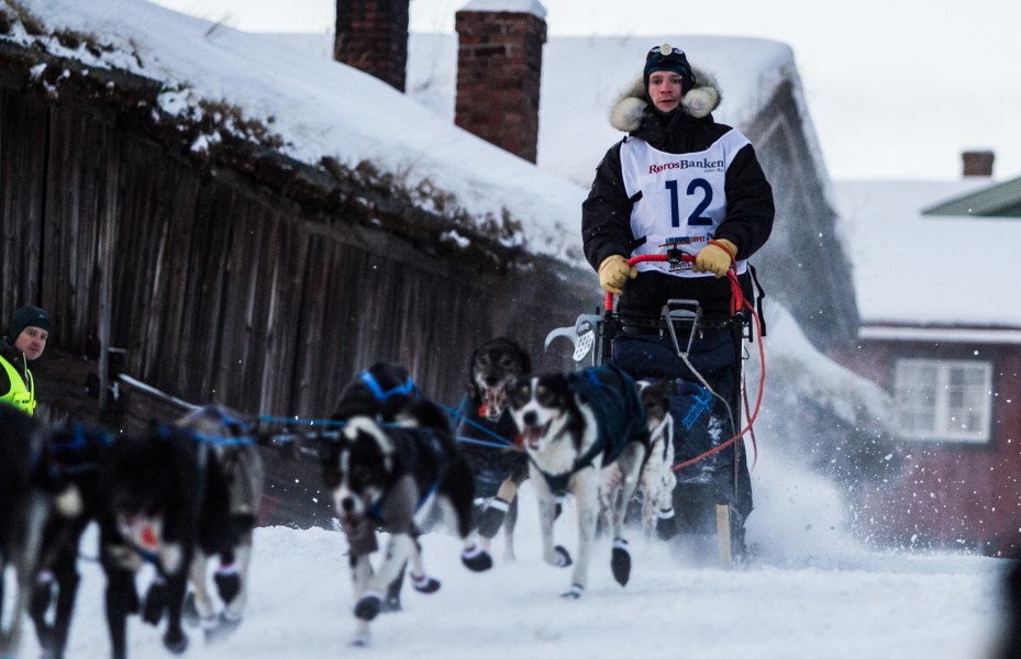 Ola Martinsen (8435400377)