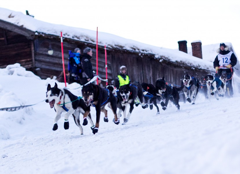 Ola Martinsen (8435434161)