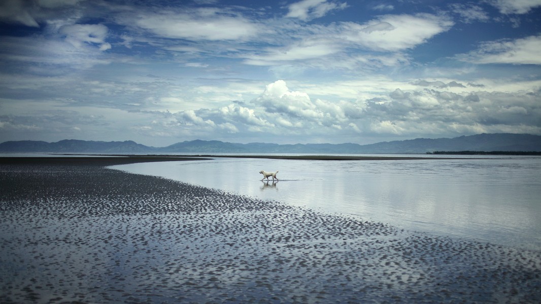 Paesaggio marino a Mindanao, Filippine, con bassa marea