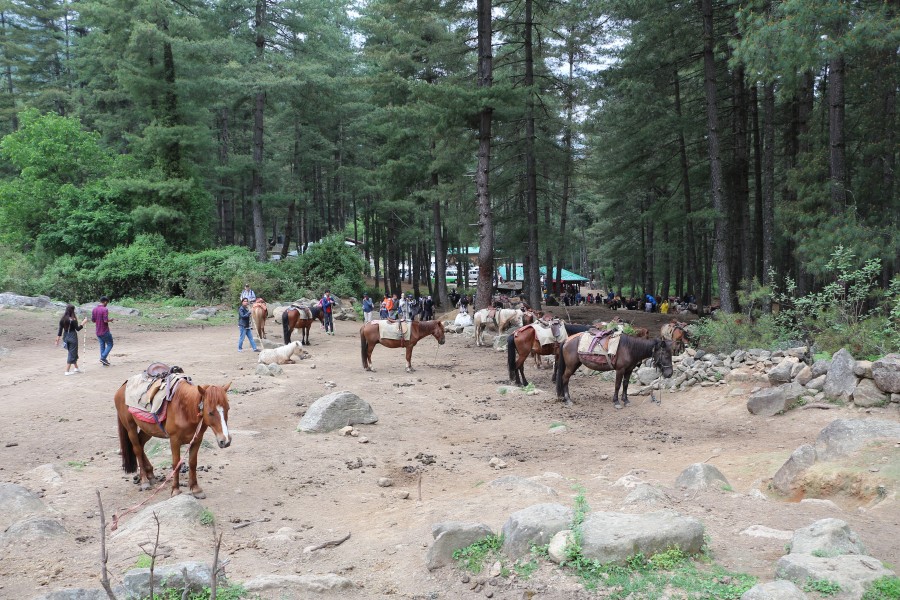 Paro Taktsang trail 01