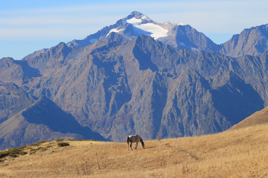 Peak Chugush and horse