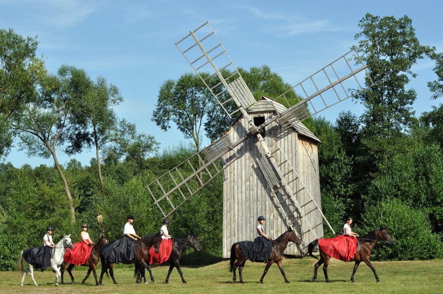 PL-Kolbuszowa, skansen 2013-08-04--16-26-03-002