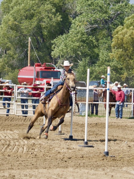 Pole bending Wyoming 13