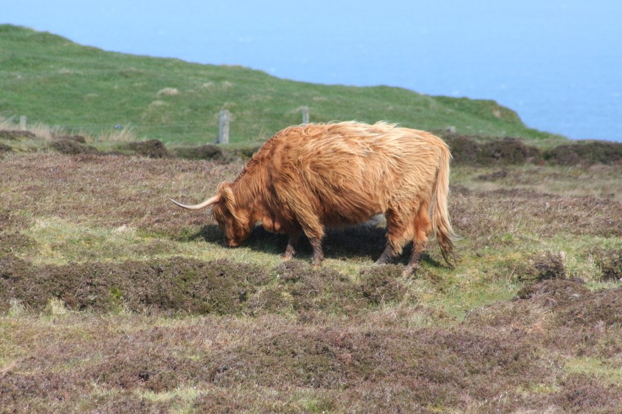 Scotland Argyll Bute Islay The Oa 02