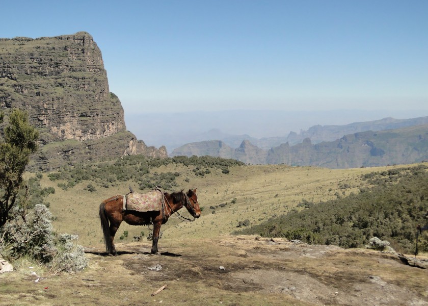 Simien Mountains National Park 09