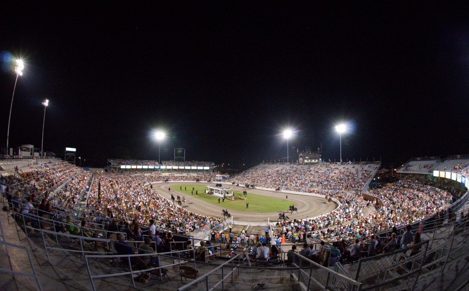 The Tennessee Walking Horse Celebration