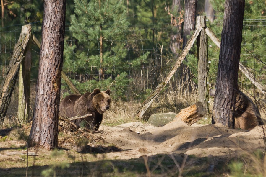 TF Wildpark Johannismuehle 03-14 img06
