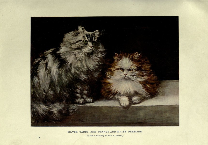 The book of the cat (Plate 7) (6263558140)