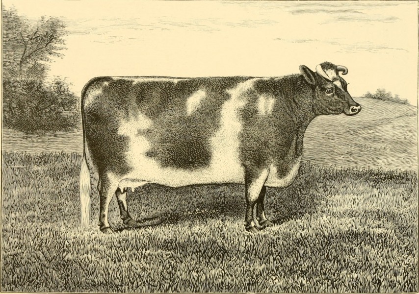 The breeds of live stock, and the principles of heredity (1887) (14594545260)