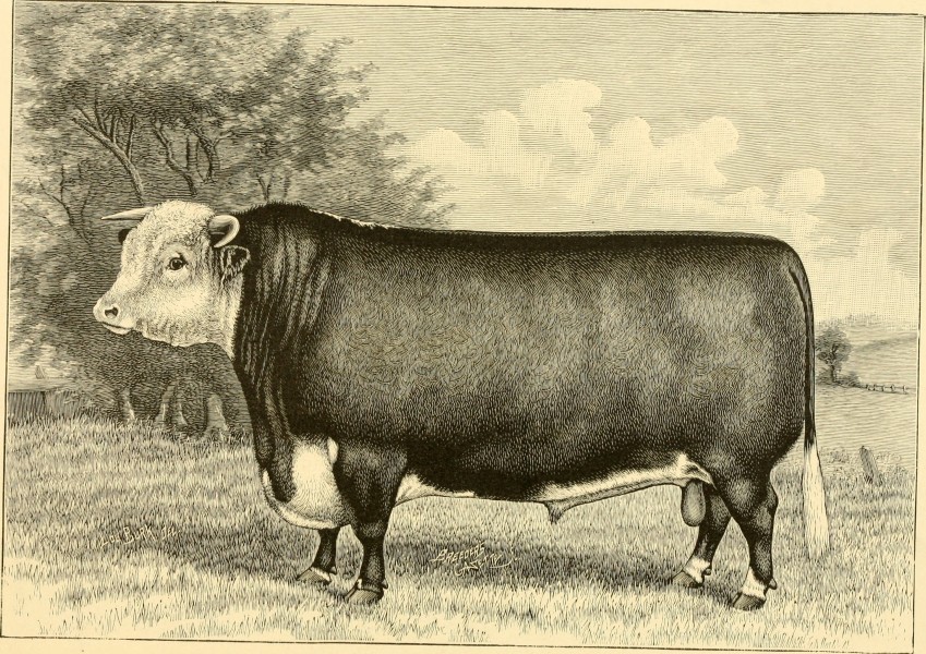 The breeds of live stock, and the principles of heredity (1887) (14594566820)