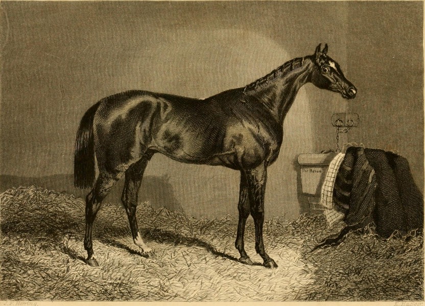 The Farmer's magazine (1846) (14802922983)