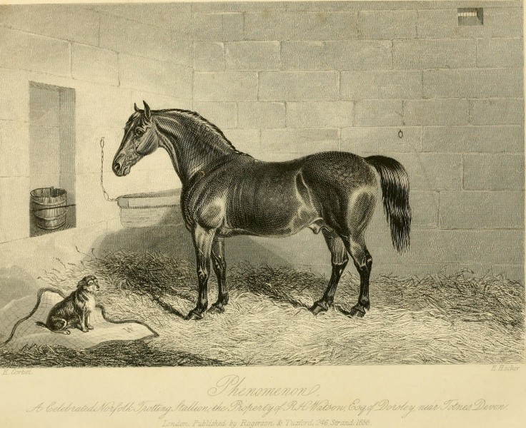 The Farmer's magazine (1856) (14577202690)