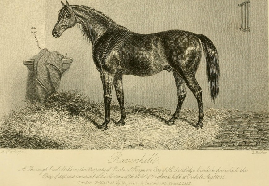The Farmer's magazine (1856) (14760725871)