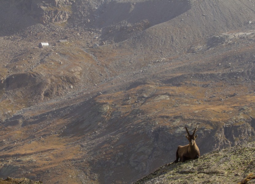 The two sides of the Valsavarenche (9998035596)