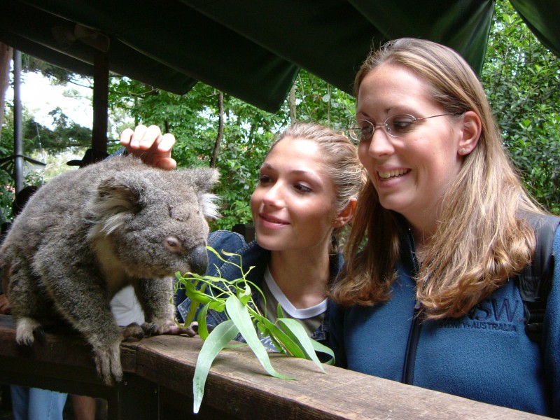 Two Girls and Koala