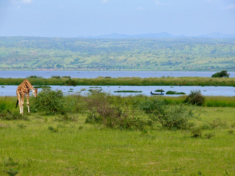 White Nile out of Lake Albert (17973276409)