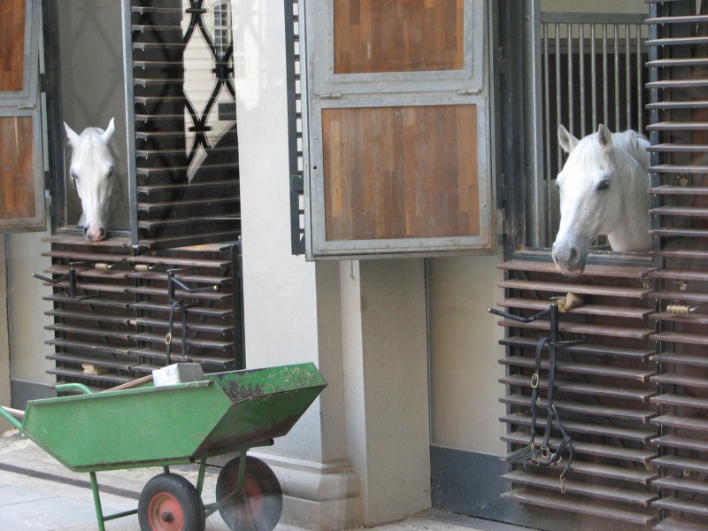 Vienna 2011, Austria