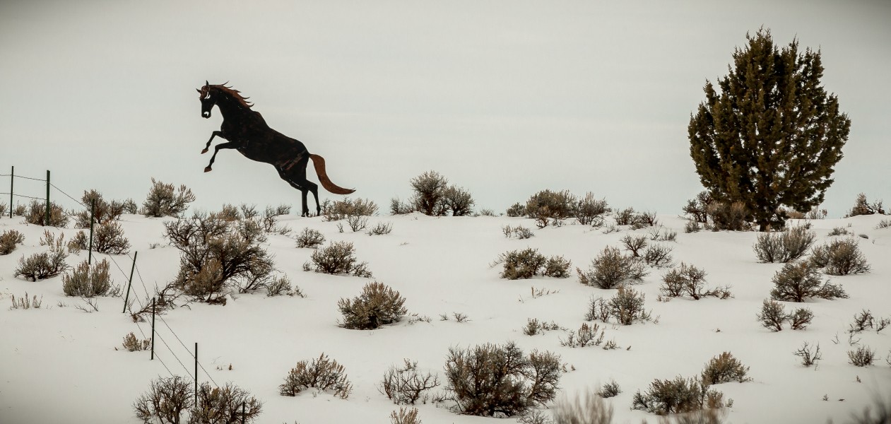 Wild Horse Corral Facility - Hines, Oregon (32376925770)
