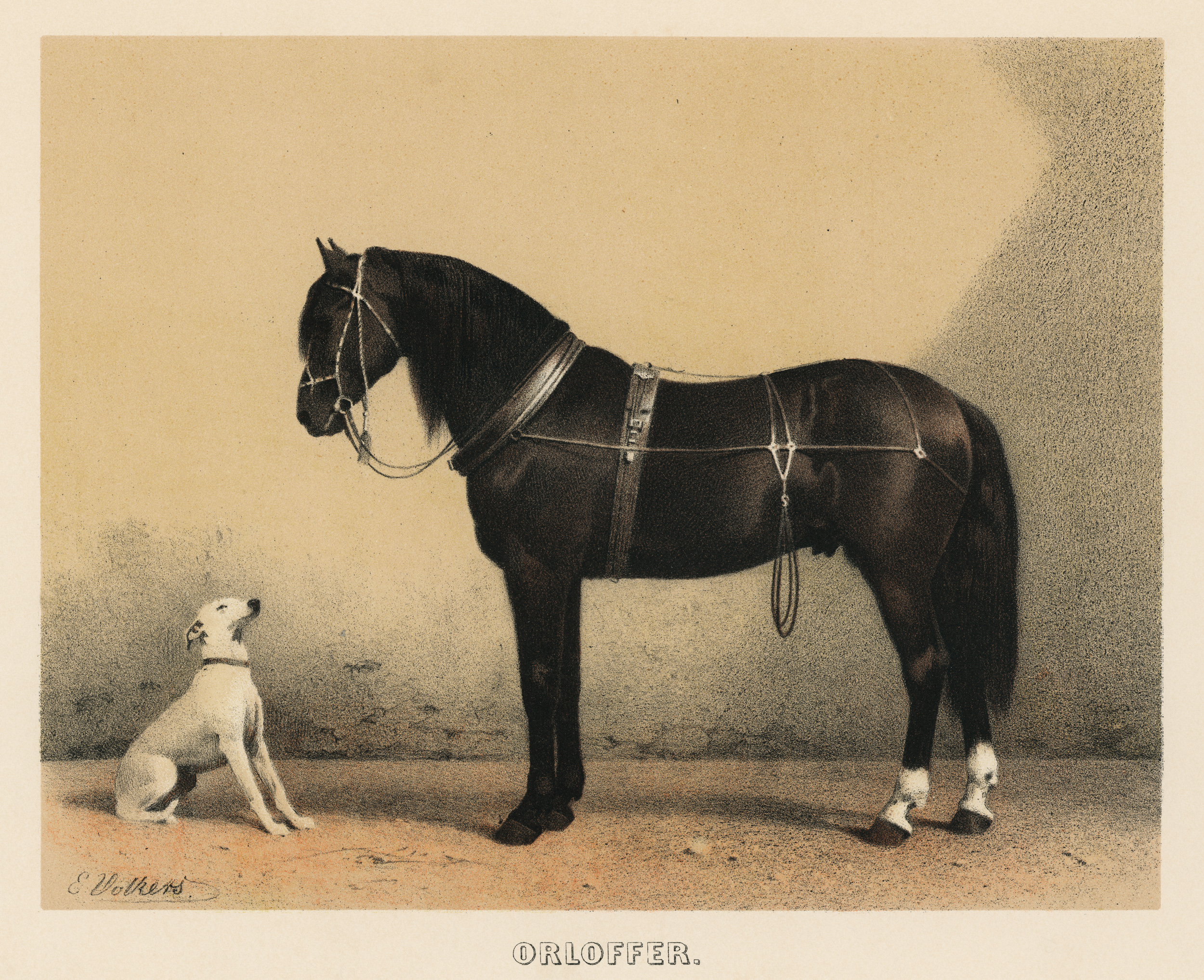 Rawpixel original lithographs by rawpixel-com 00010