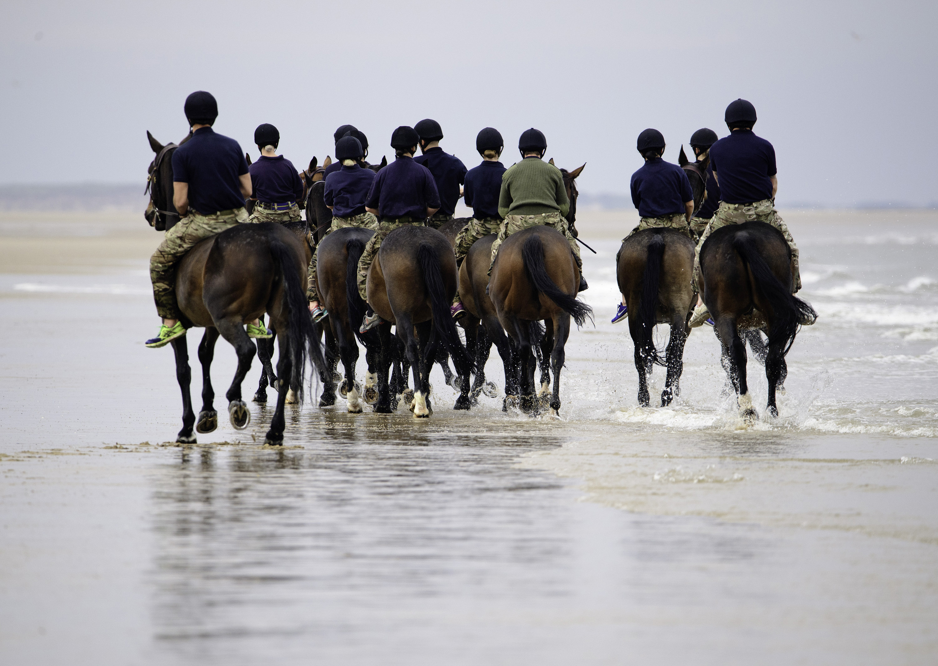 RHA Equestrian Exercise in Norfolk MOD 45163003