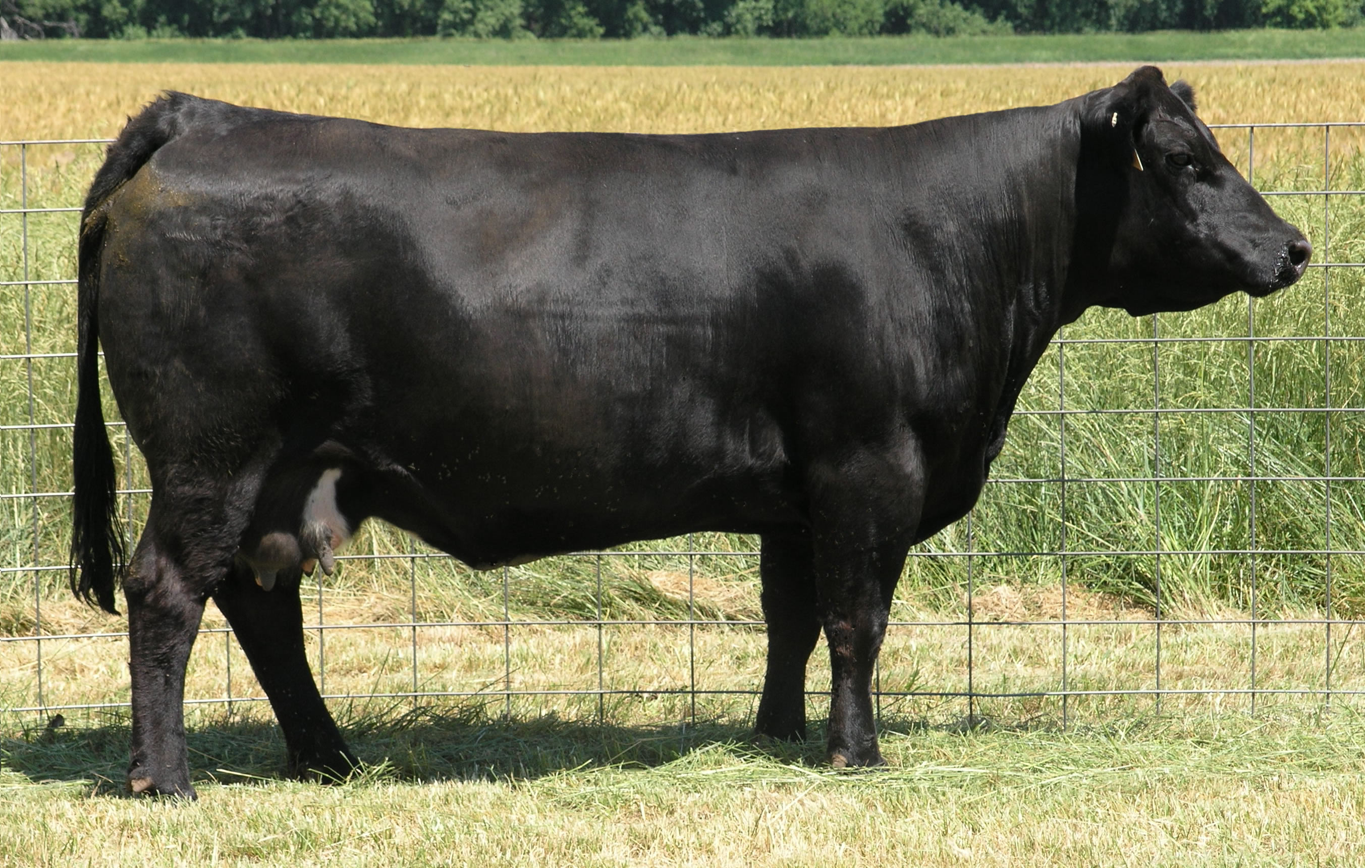 River-Creek-Farms-501F