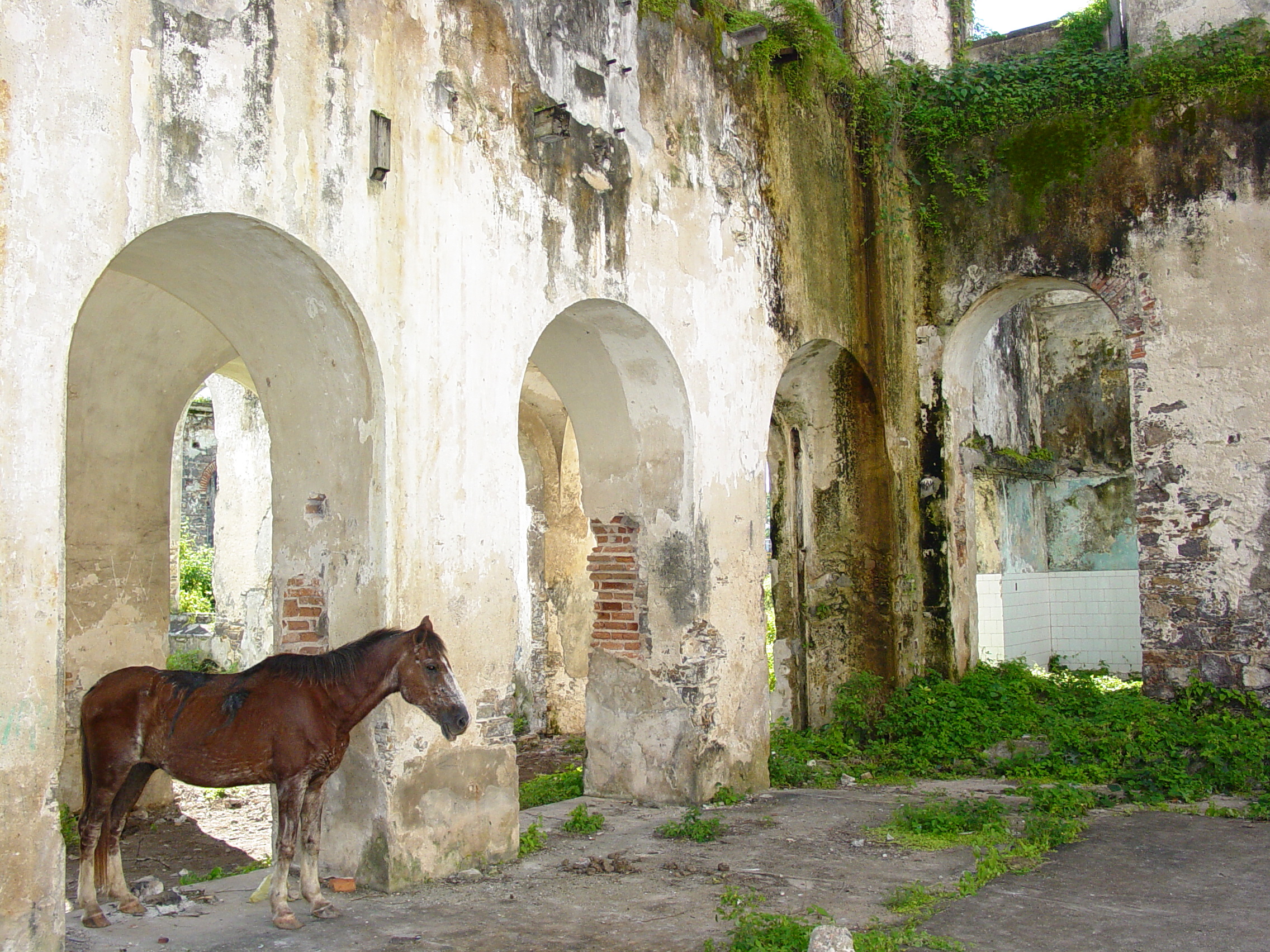 Ruined Sugar Mill in Santo Amaro - Near Salvador - Bahia - Brazil 02